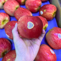 【WANG 蔬果】紐西蘭水蜜桃蘋果35-45顆x1箱(約9kg/箱)