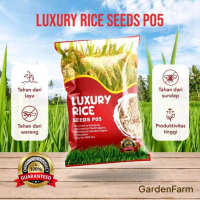BENIH BIBIT PADI PO5 (1KG) BIBIT PADI UNGGUL BERKUALITAS-BIBIT PADI SAWAH-BENIH PADI PREMIUM