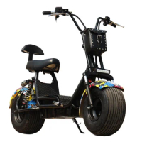 Electric Scooter 2 Wheels Citycoco Sport E Motorcycle Fat Tire 1000W 40km/h Wide Tyre Bike