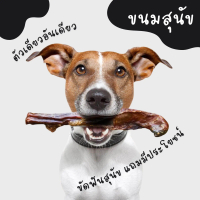 [พร้อมส่ง] Beef Bully Stick