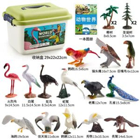 模型玩具野生動物長頸鹿仿真兒童動物園火烈雀海洋鯊魚霸王龍牛馬-鳥類套裝 均碼-款式5