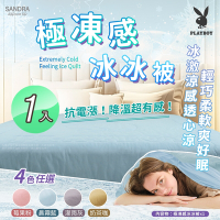 【Sandra仙朵拉】 PLAYBOY 極凍感冰冰被x1入(150x200cm/涼被/涼感被/薄被/四季被 )