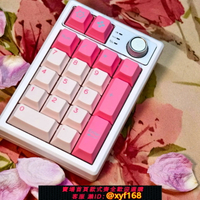 {台灣公司貨 可打統編}KEYCOOL/凱酷K19機械鍵盤筆記本電腦無線藍牙數字小鍵盤財務鍵盤