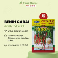 Storenain Mall Tani Murni Benih Cabai Keriting Iggo Tavi 10 Gr Bibit Cabai Super Promo SpecialZu880
