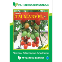 Q&J2 Tani Murni Benih Tomat TM Marvel F1 10 gram GRATIS ONGKIRHX968