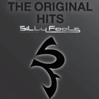 แผ่นซีดี M63 เพลงฮิต THE ORIGINAL HITS SILLYFOOLS