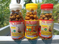 PIL EDAN MERPATI BALAP & KOLONGAN Telur merpati kolong