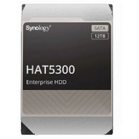 【含稅公司貨】 Synology群暉 Own Brand HAT5300-12T NAS企業級硬碟 12TB SATA