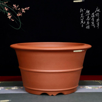 花盆 花器 紫砂花盆 紫砂花盆大號君子蘭花專用盆透氣精品多肉老樁陶瓷盆景盆深圓