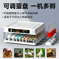 【臺灣公司優質服務】孵蛋器水床小雞蘆丁雞孵化器小型機器家用全自動智能孵化箱孵化機
