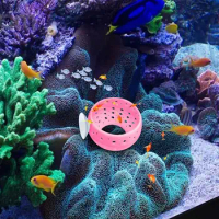 Betta Fish Toys Aquarium Cave With Safe Hollow Design Red Shrimp Live Plants Fish Tank Holder Hammock Planter Small Fish And