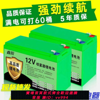 {公司貨 最低價}電動噴霧器鋰電池12v20ah大容量電池農用打藥機音響LED照明燈電池