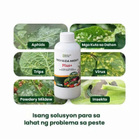 [FULL ORGANIC] Pestisida Nabati: Kontrol sa mga Peste, Laban sa Fungi at Bakterya nang Walang Kemika
