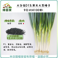 【綠藝家】大包裝D13.寒天大蔥種子9克(約4100顆)
