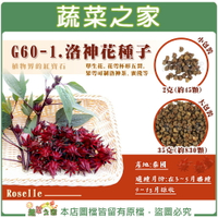 【蔬菜之家】G60-1.洛神花種子 (共2種規格可選)