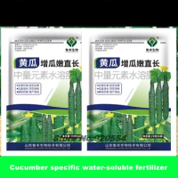 25g Cucumber specific yellow leaf fertilizer for prevention and control Yield-increasing foliar fertilizer
