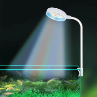 ACCURACY USB-Plug Aquarium Mini Lamp LED Fish Tank Colored Lights Accessories Fishbowl Landscaping R