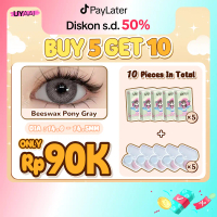 [COD]  Buy 5 get 10 ��5 softlens +5 len case��UYAAI SOFTLENS LENSA KONTAK Grey /Brown 14.0mm-15.0mm 