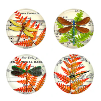 10mm 12mm 25mm 14mm 16mm 18mm 20mm Photo Glass Cabochons Round Cameo Set Handmade Settings Stone Snap Butterfly BSIJ6900