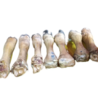 kaki sapi lokal untuk tunjang Padang Meat