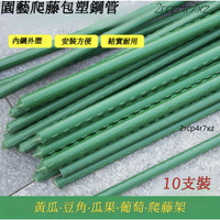宅配🚛 庭院包塑鋼管 葡萄架子 花架 爬藤架 豆角黃瓜架 植物支撐桿 園藝花支架 園藝支架 植物架 番茄架子 花棚