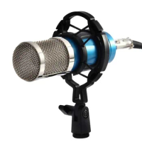 Microphone Stand Universal Professional Condenser Mic Shock Mount Holder Studio Recording Bracket For Large Diaphram Mic Clip