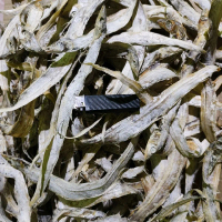 Ikan Asin Layur Sedang Kering Full Tanpa Pengawet Bersih Utuh Aman Konsumsi