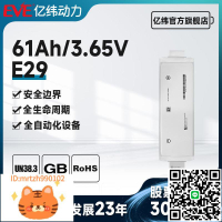 定制 EVE億緯鋰能3.65V 60.1Ah軟包三元電池 E29 電動汽車 電動車-淘淘屋 可開發票