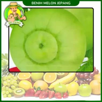 Benih Buah Buahan Semangka Strawberi Melon Labu Benih Bibit Murah Berkualitas Melon Jepang
