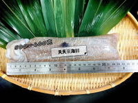 【天天來海鮮】💫極度新鮮「5A級活凍軟絲」完全不包冰 可生食級 500~1500克