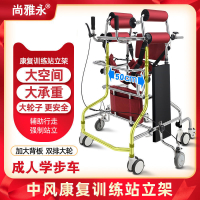成人學步車助行器輔助行走老人中風偏癱康復訓練器材站立架