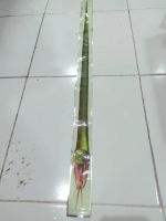 MAINAN ANAK PEDANG BAON SODA PANJANG UK 70 CM/MAINAN ANAK PEDANG TIUP