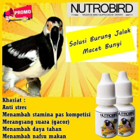VITAMIN BURUNG PANCINGAN GACOR EMOSI BURUNG JALAK SUREN / JALAK KEBO / JALAK NIAS ORIGINAL
