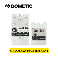 【Dometic | 忠欣代理】長效冰磚 220g+420g(雙入組)