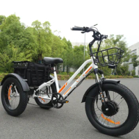 Free shipping USA Warehouse Cheap 750w BAFANG electric tricycles 3 wheel electric cargo bike electric cargo tricycle with pedal