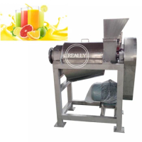 Commercial spiral 2.5T/h 304 stainless steel apple juice maker fruit extractor juicer machine for various fruit and vegetable