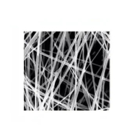 SW-001 Reagent High Purity High Conductivity Thermal Conduction Silver Nanowire Diameter &lt;100nm Nano Silver Wire