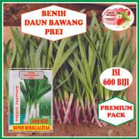 BENIH DAUN BAWANG PREI ISI 600 BIJI