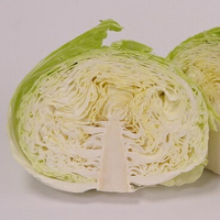 高山甘藍(高麗菜)(1公斤)