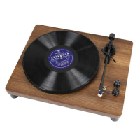 Enjoy your time with different records Vinyl Player Wood Turntable