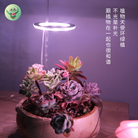 植物 補光燈 全光譜led仿太陽燈上色室內家用usb食蟲植物多肉 補光燈