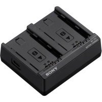 【SONY 索尼】BC-ZD1 原廠雙槽座充 NP-FZ100專用(公司貨)