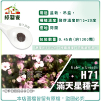 【綠藝家】H71.滿天星種子0.45克(約1300顆)(小花) 艷紅