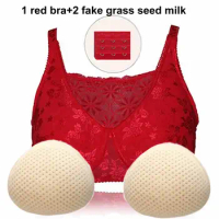 Mastectomy Bra + Pair of Grass Seed Implants Breast Contouring Implants Breast Enhancer 2304