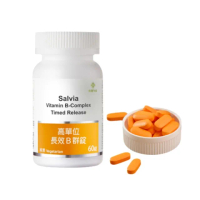【SALVIA】Salvia高單位長效B群錠1瓶共60顆(完整B群添加鈣共11種元素高單位長效型達8小時以上)
