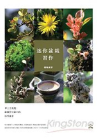 迷你盆栽習作：掌上天地寬，縮擬於豆缽中的四季風景