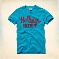 美國百分百【全新真品】Hollister Co. T恤 HCO 短袖 T-shirt 上衣 海鷗 藍色 純棉 Logo 男 M L XL