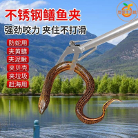 🔥捕蛇夾 捕蛇器 黃鱔夾 泥鰍夾 鱔魚夾 趕海夾 防蛇夾 螃蟹夾 捕蛇鉗防滑不銹鋼黃鱔夾子泥鰍養蛇工具鱔魚鉗加長螃蟹夾