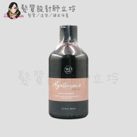 立坽『洗髮精』川越國際公司貨 Wieden 謎漾炫彩染髮劑(奶茶色)360ml IH05