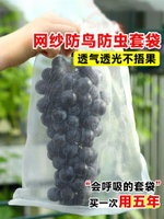 葡萄套袋專用袋子防蟲防鳥神器紗網袋水果草莓陽光玫瑰保護袋套袋